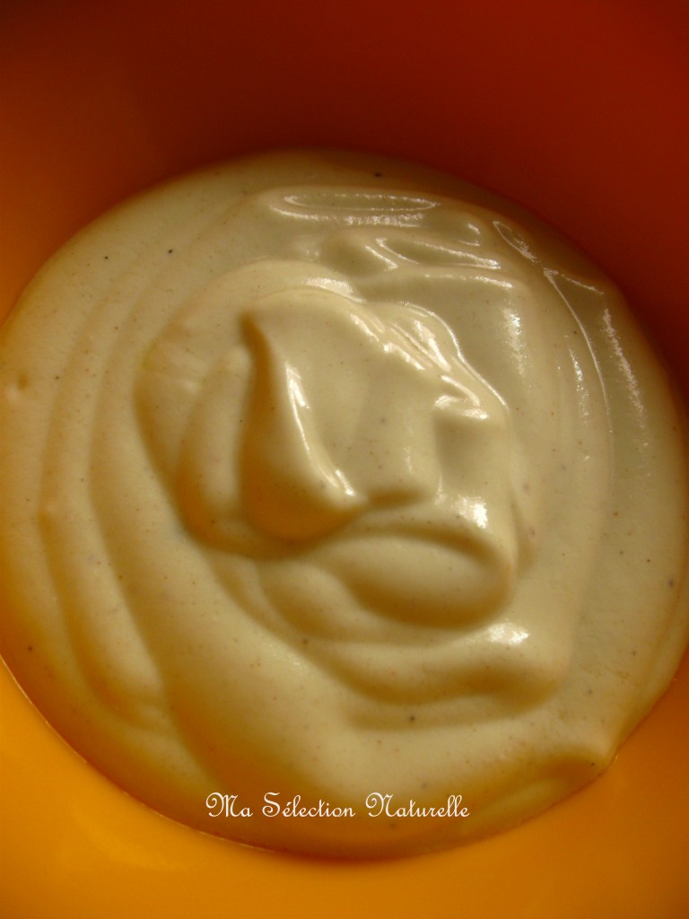 sauce yaourt1